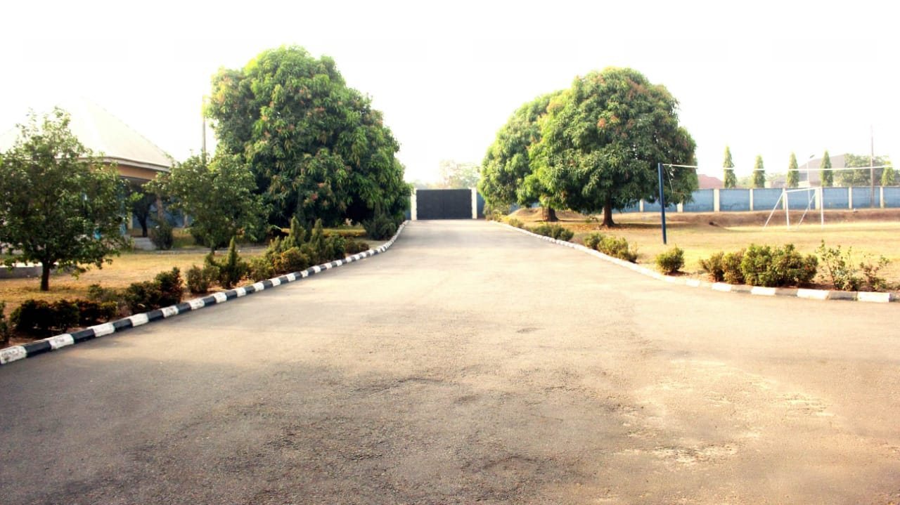 Admissions & Screening